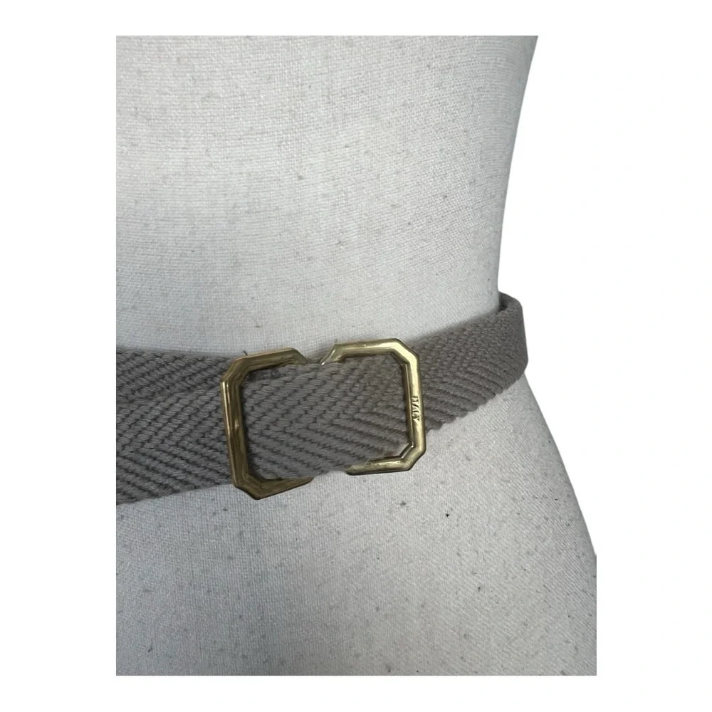 Vintage Gray and Gold Belt Accessories